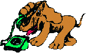 dog10.gif (3600 bytes)