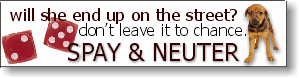 spayneuter.gif (10124 bytes)