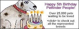 welcometopetfinderBday.jpg (27484 bytes)